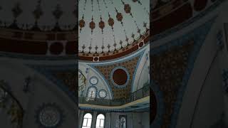 Halimiz Nola Mahşerde