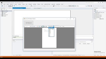 How to View Data on ReportViewer from MS Access Database using C# [Tagalog] Part 3
