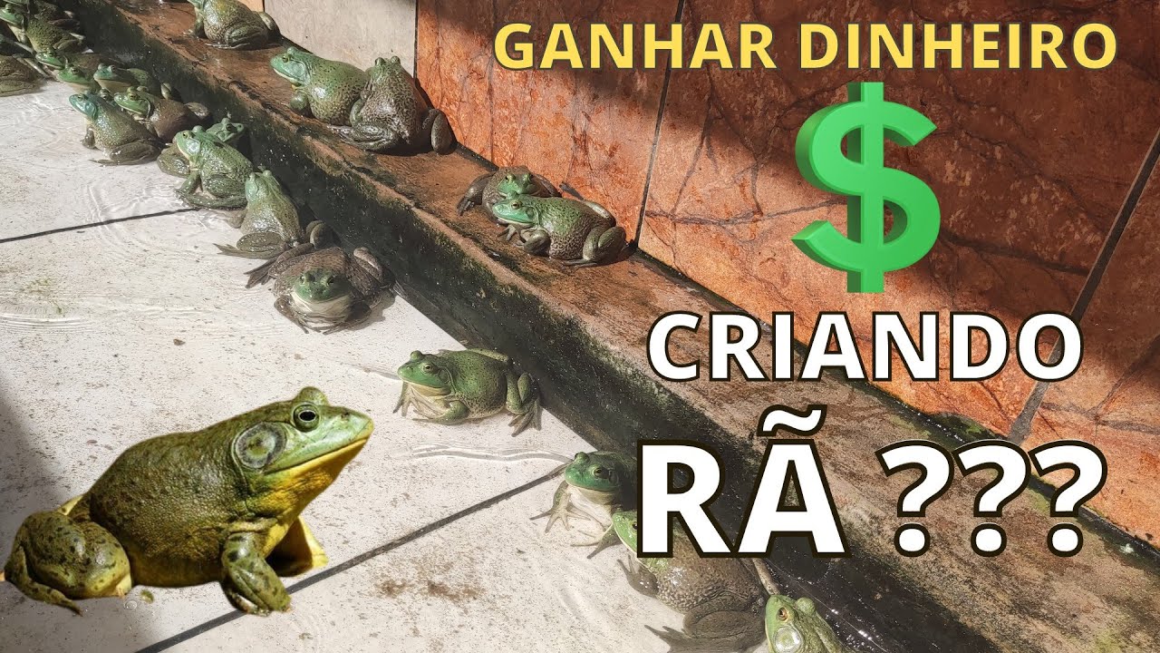 CHÁCARA PESQUEIRO CRIAÇÃO DE RÃ - ( IDÉIA) 4k