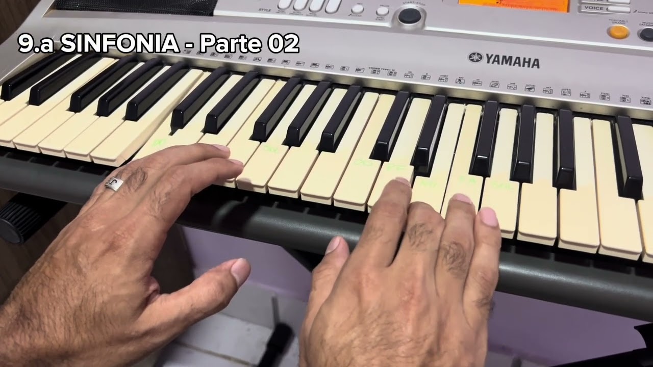 PARTE 02 - 9ª SINFONIA DE BEETHOVEN