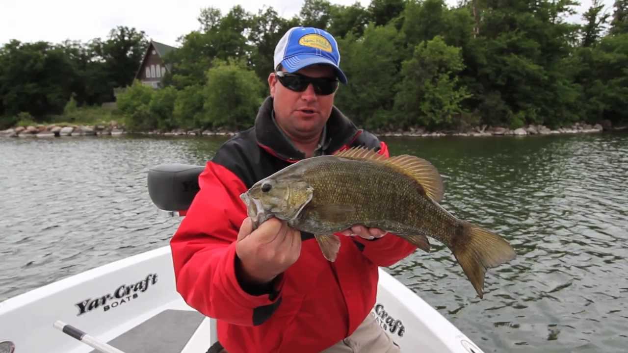 Smallmouth Bass with Tube Jigs 