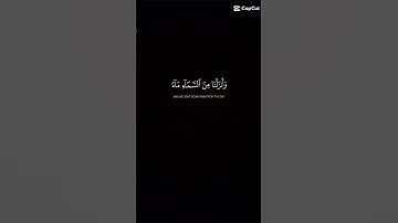 [سورة لقمان ٨-١١]#قرآن#quran#تلاوات#ياسر_الدوسري#