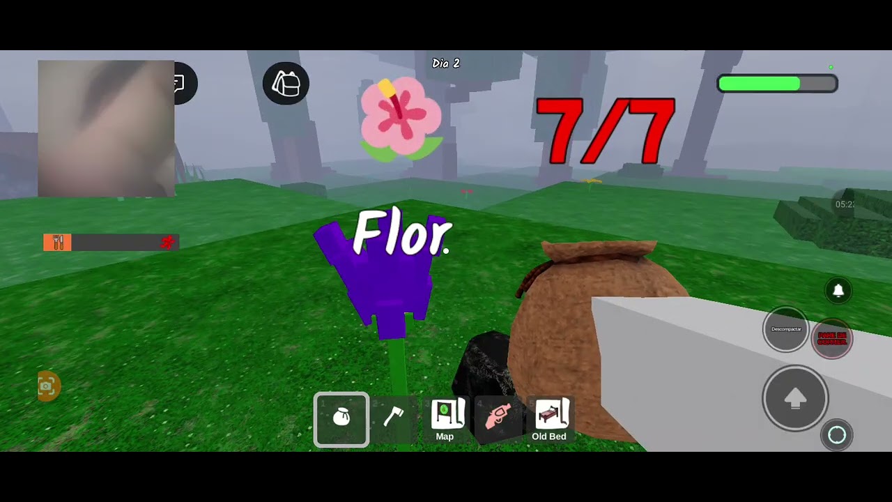 22 de fevereiro de 2026