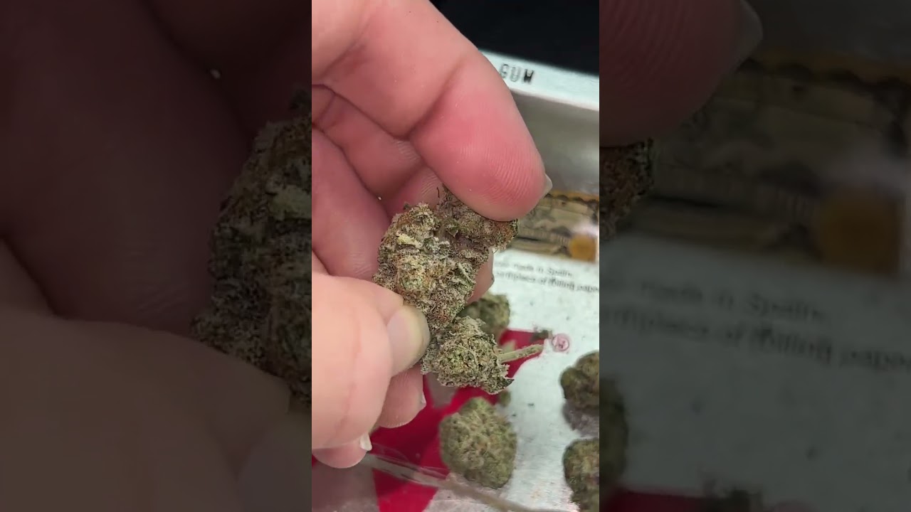 Black Afghan ⚫️⚫️Rhythm