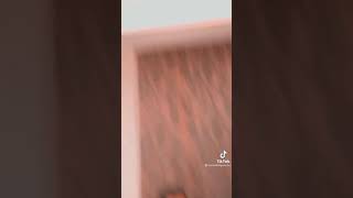osman kalyoncu tiktok