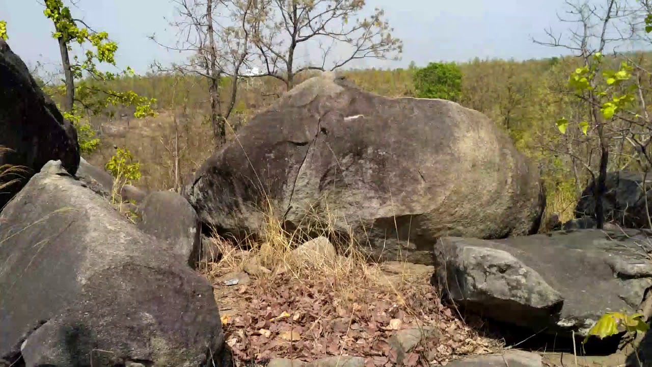 Nature Walk in Biodiversity Park Ranchi 🌳 | Best Green Spot in the City!