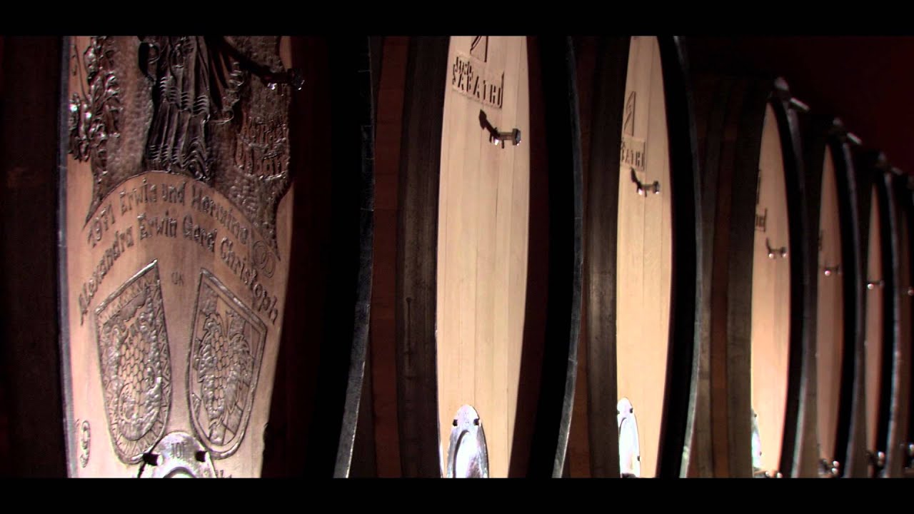 Terroir erleben - Weingut Erwin Sabathi, Südsteiermark