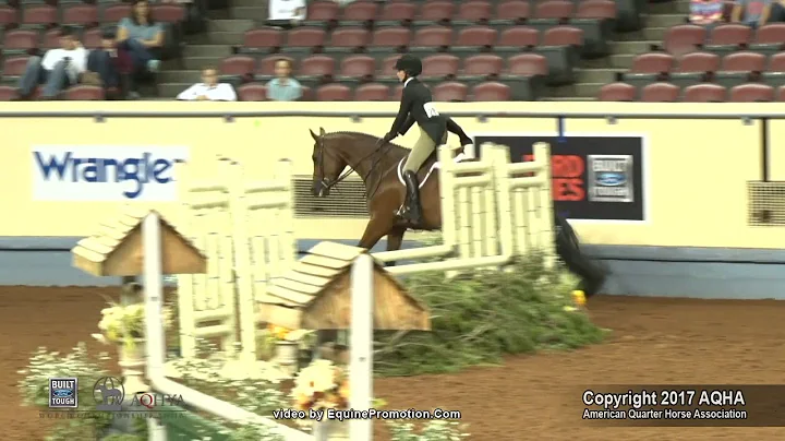 A Judge's Perspective: 2017 AQHYA Working Hunter World Champion