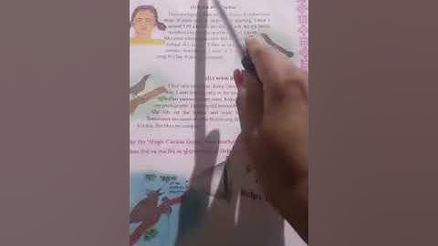 std 7,English, unit 3,activity 5&6, second semester, J.k.Patel school