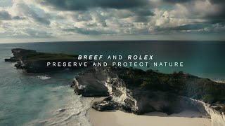 Restore Our Ocean, Protect Our Future Wealth