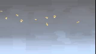 Cloner Test - Bee's