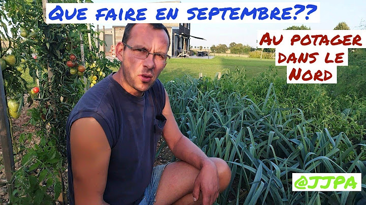 Que faire en septembre au potager de julien ???