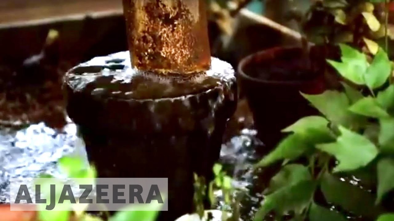 🌏 إيرث رايز - الزراعة المائية