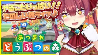 宝鐘マリン、Youtube、ライブ、live、ユーチューブ