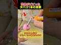視覚的なタバコ1本の実験
