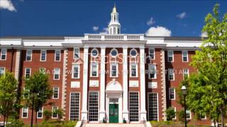 Harvard Univesity