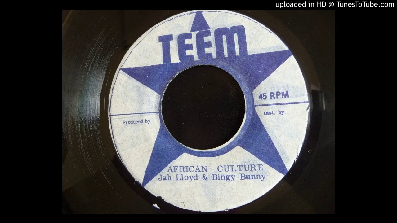 Jah Lloyd & Bingy Bunny - African Culture / Version - Teem 7"