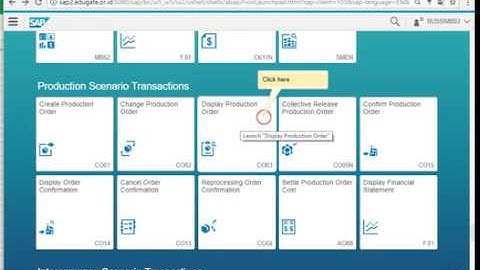 Display Production Order by SAP Screen Personas desgin Fiori
