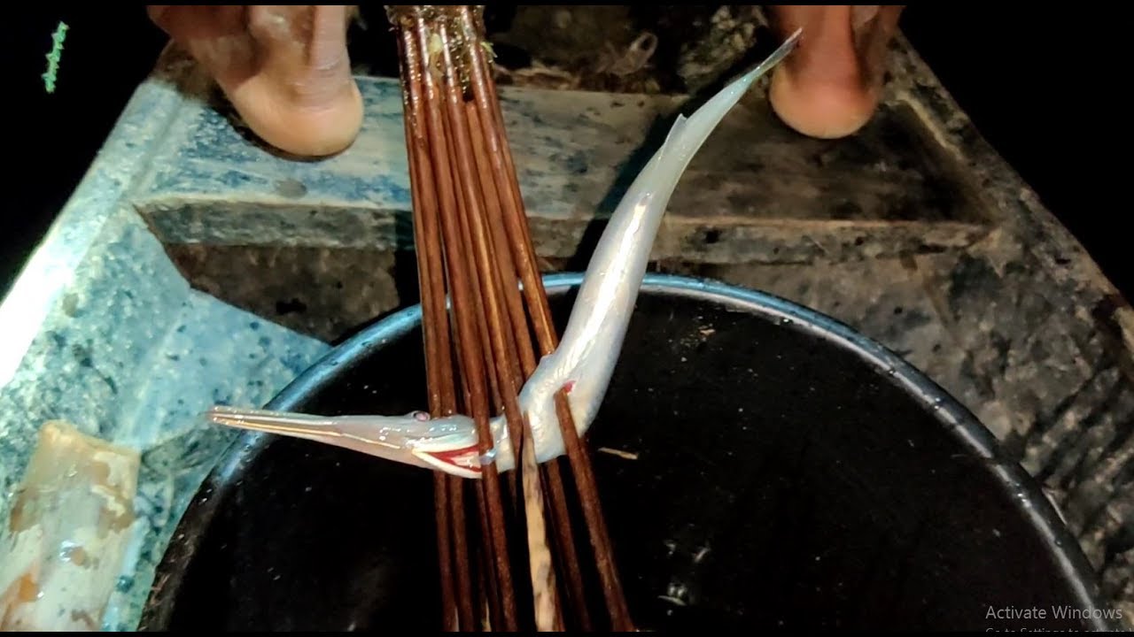 Desi Instrument Fishing at Night | Tata Fishing in Village