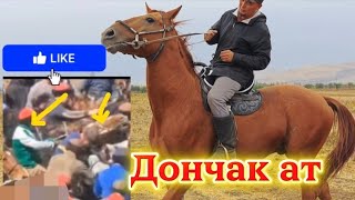 картинка: Зарлыктын дончак аты 