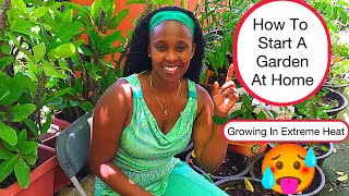 🥵Growing In Extreme Heat ZONE 13- How To Start A Garden At Home? Start Right!!!