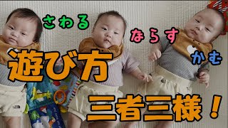 生後4ヶ月で遊び方も三者三様。出来ることが増えてきた三つ子。