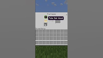 How To Get Charcoal With Smelting In Minecraft #Shorts