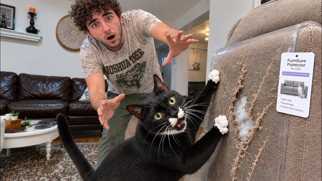 I Bought Every Scam Cat Product — Christian Digilio (video thumbnail)