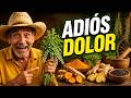 Las 12 Plantas Que Eliminan el Dolor Muscular Para Siempre