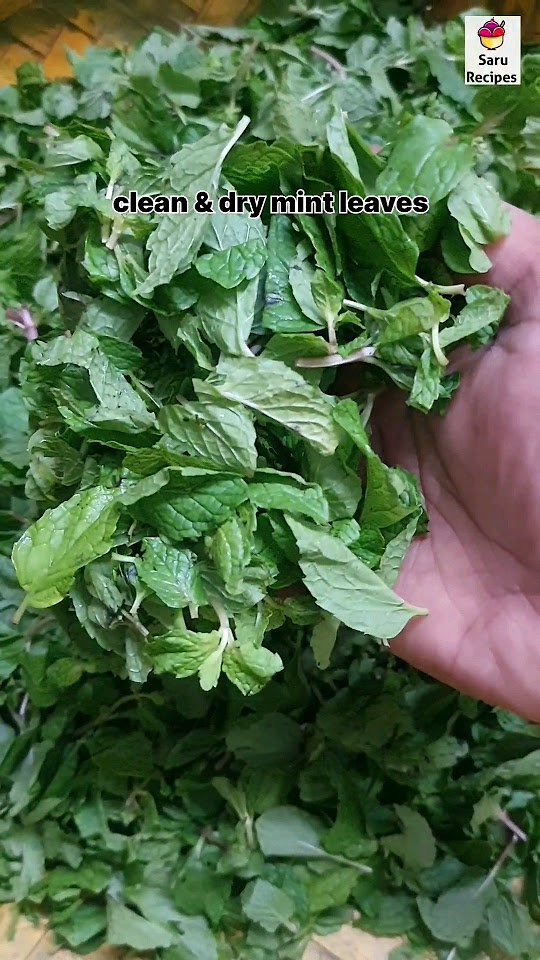 how-to-store-mint-leaves-for-long-days-2-simple-method-to-store-mint