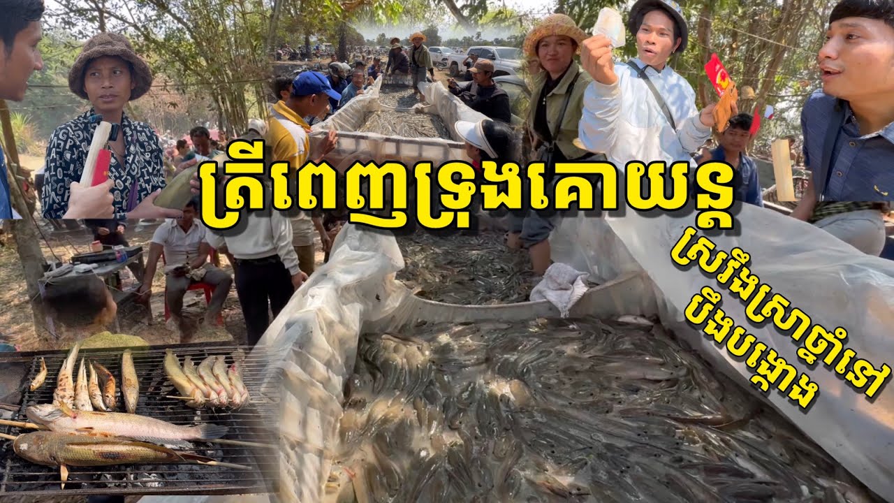 ចប់ហើយខ្ញុំ ស្រវឹងស្រាថ្នាំអ្នកភូមិបង្កោង ក្នុងពិធីចាប់ត្រីឡើងមាឃ