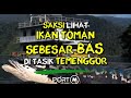 Saksi Lihat Ikan Toman Besar Bas di Tasik Temenggor Royal Belum fishing Trip Pancing Snakehead