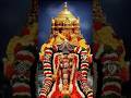 sri Venkatesha 🙏🌺 #devotional #balaji #govinda #om #namo #hindutemple