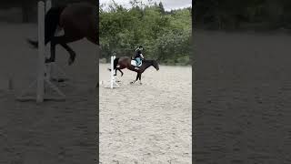 Really fun crossrails with Flicka!