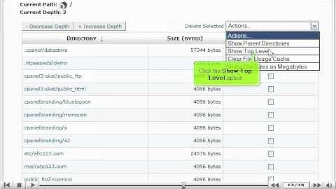 Using the Disk Usage Viewer in cPanel - Canadian Web Hosting
