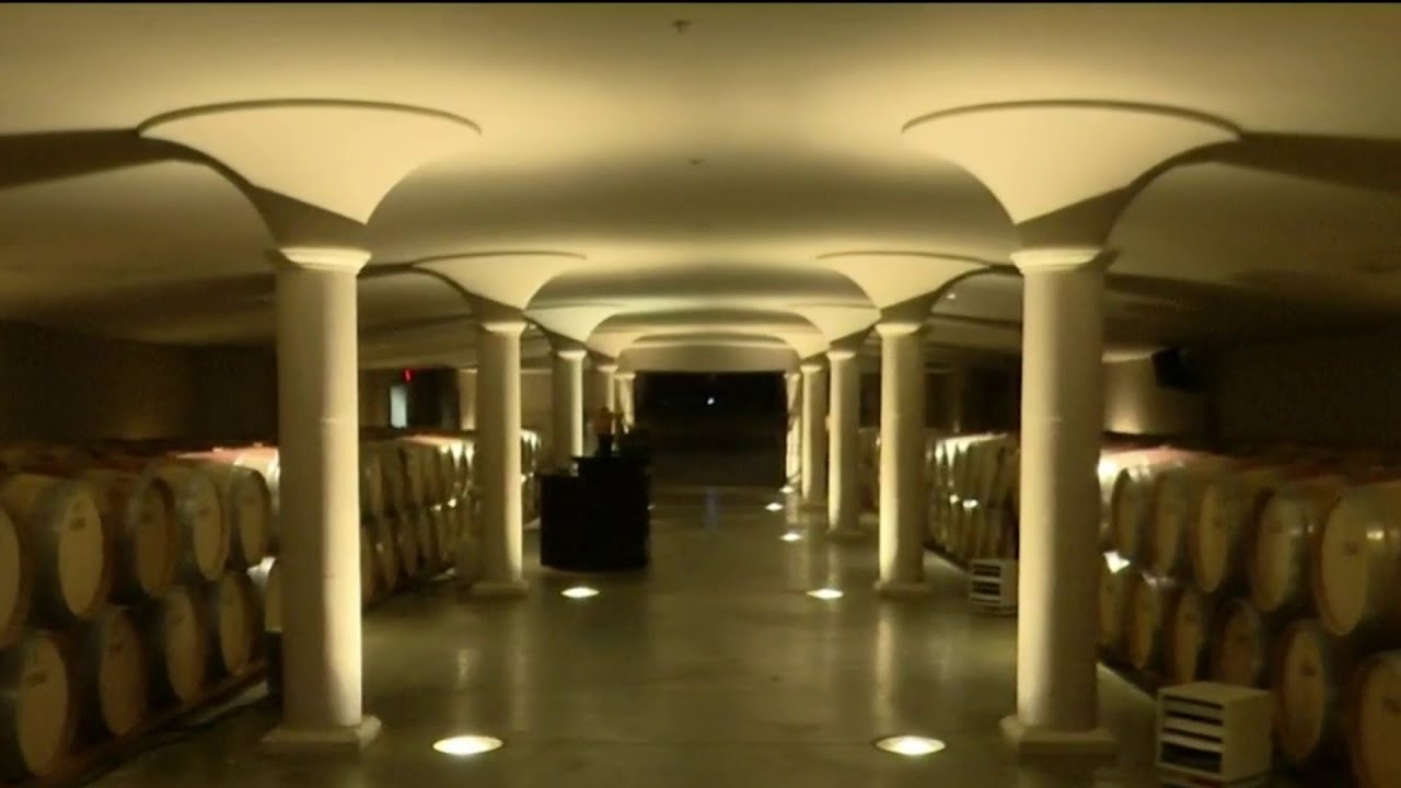 Niagara Wine Country on "Live in the D"