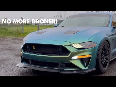 How to get rid of drone for 50 dollars!