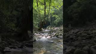 Relaksasi alam #popular #nature #garden #soundviral