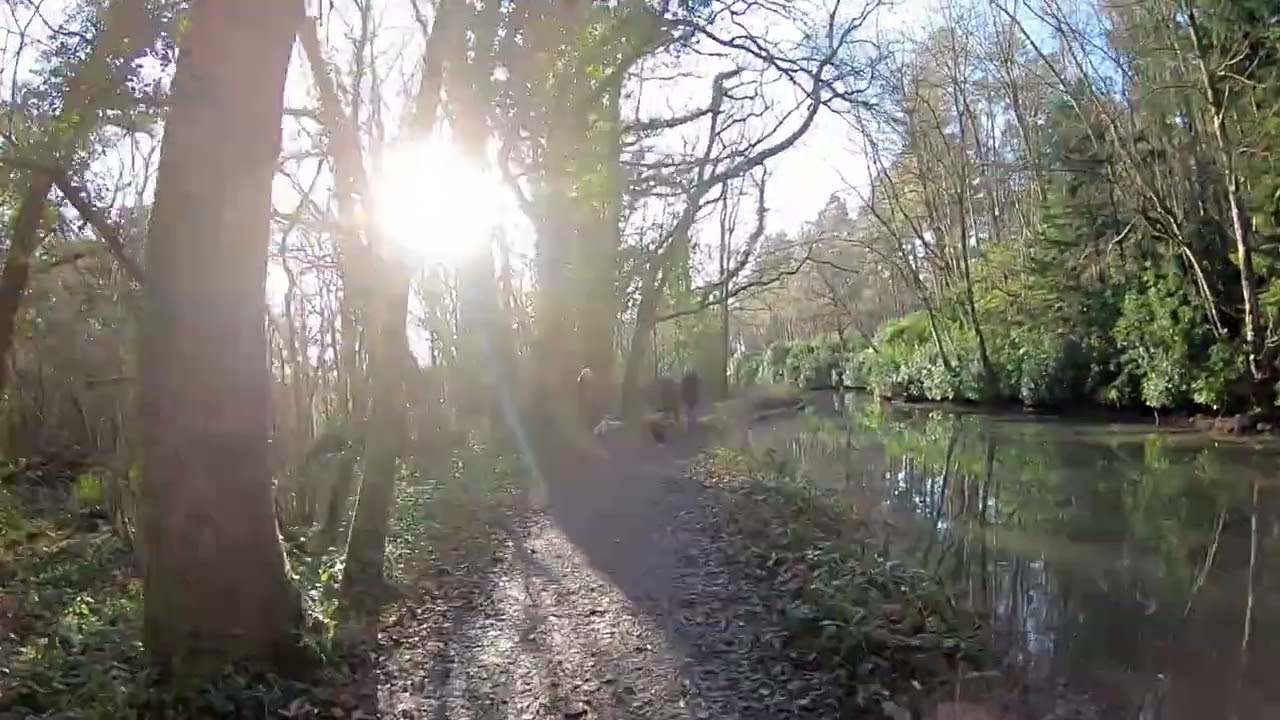 Dogmersfield - Basingstoke Canal - Hampshire UK