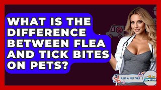 What Is The Difference Between Flea And Tick Bites On Pets? - Ask A Pet Vet