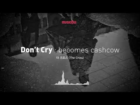 [Musicow Playlist] 더 크로스 - Don't Cry