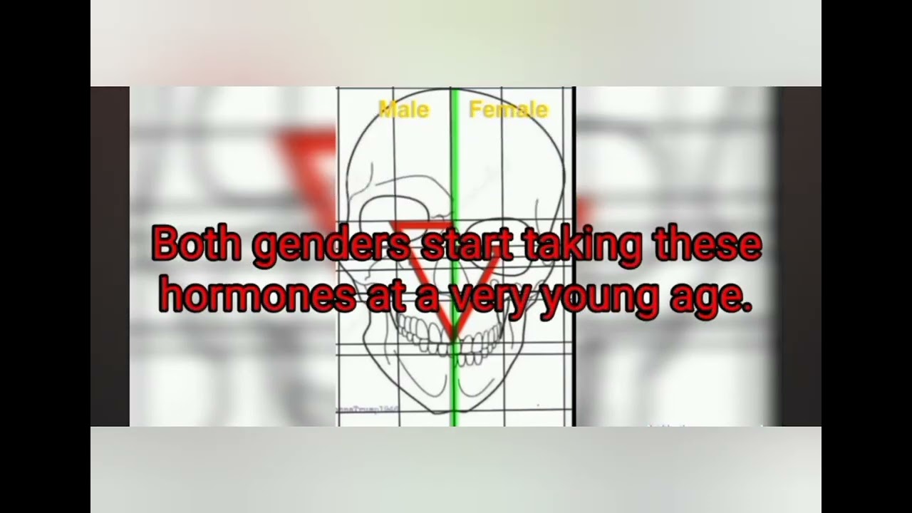 Skull and bones logo is a tranny skull, 322, and the Nephilim