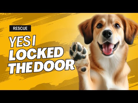 Dog Locked the Door! A1 Lock & Key Bahamas