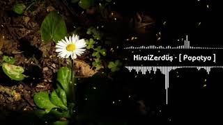 HiraiZerdüs papatya
