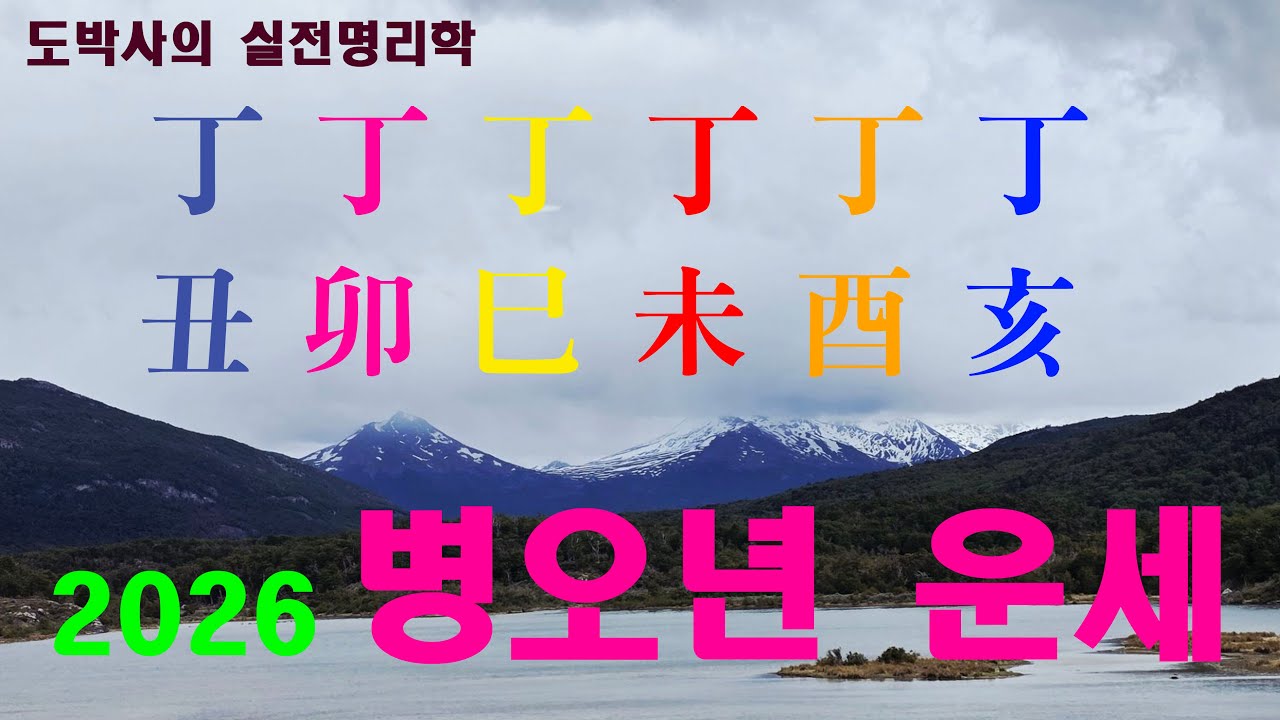 2026 병오년 정화일간별 운세