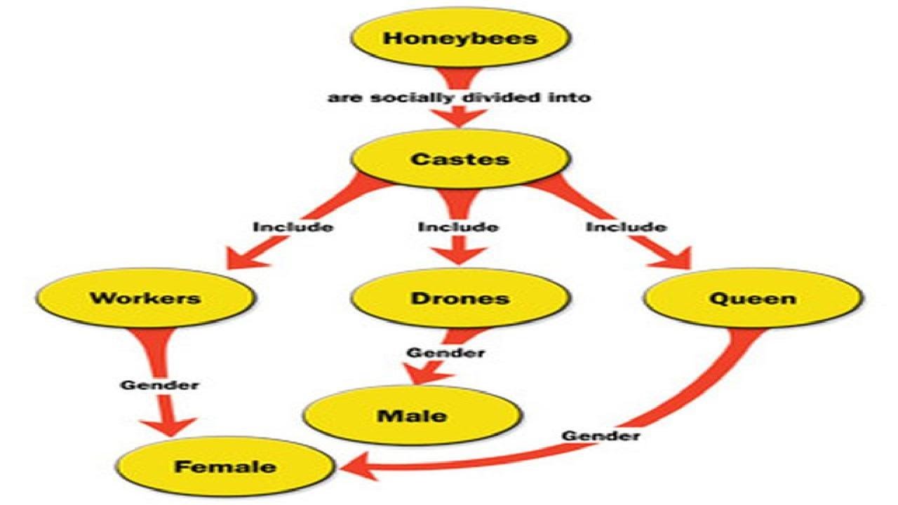 How to Make a Concept Map in Microsoft Word YouTube