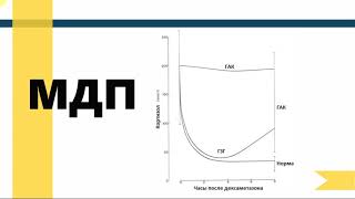 Диагностика синдрома Кушинга собак Диагностика синдрома Кушинга собак