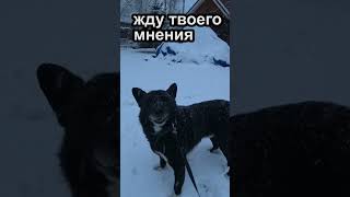 Жду вашего мнения
