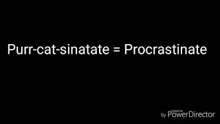 Cat Noirs Cat Puns Part 1