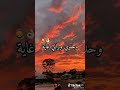 صاي بلعت الباب 